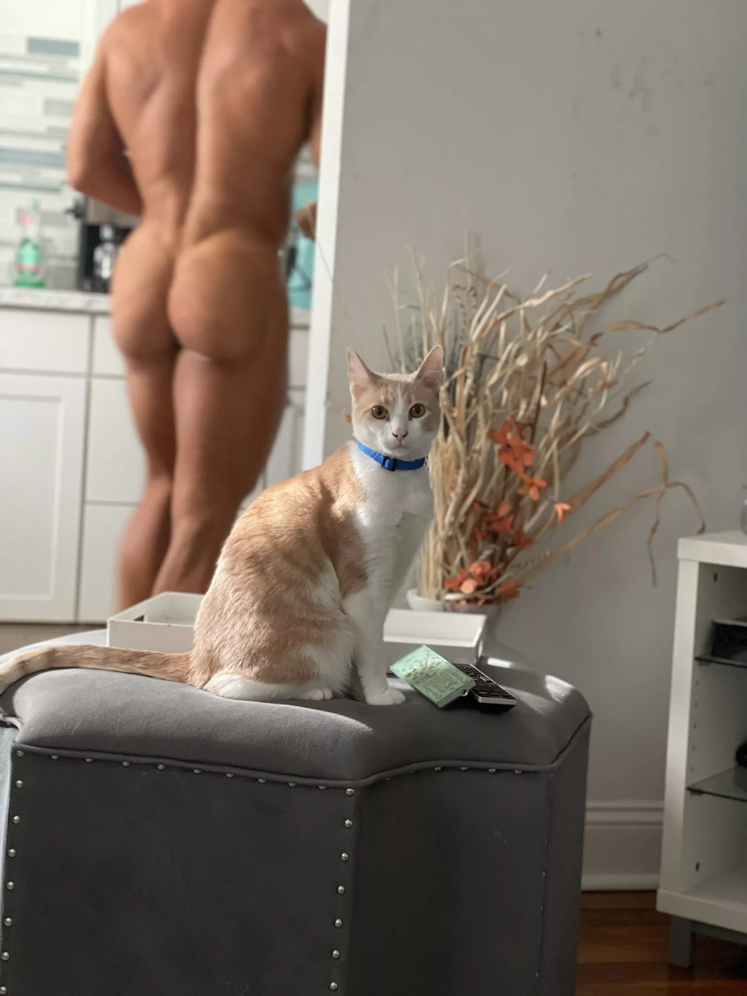 Why do you look so surprised little buddy? 🙀🙀