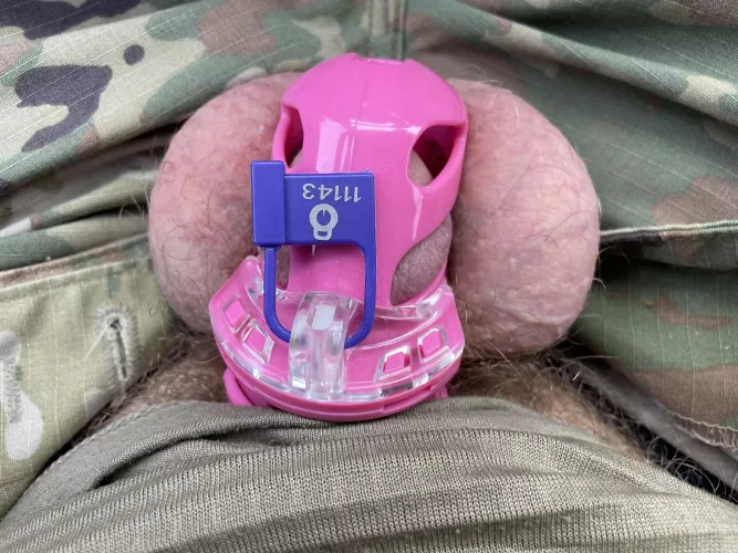 Wife said no cuming in the field. Wife said no cuming in the field.