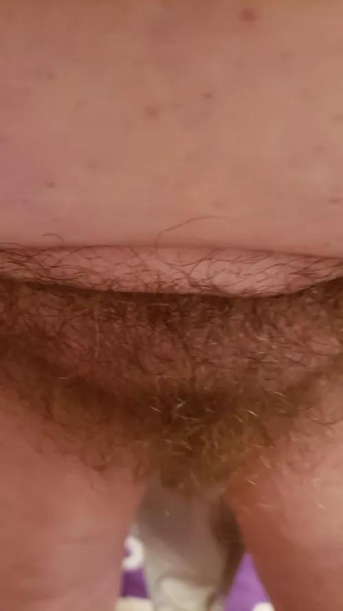 Wife sent me this while I was at work....