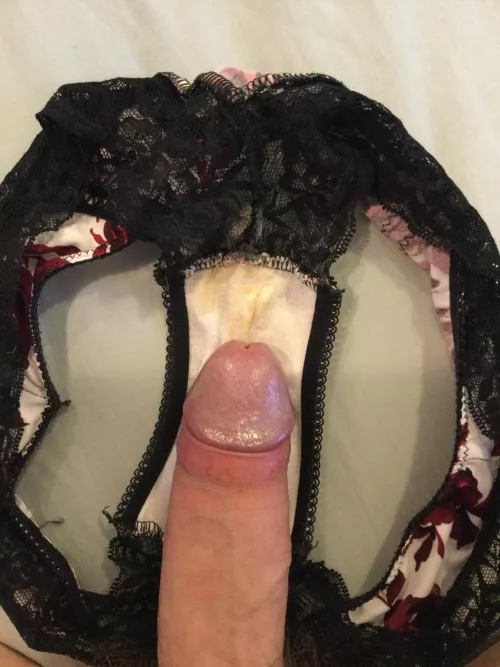 Wife’s cummed panties