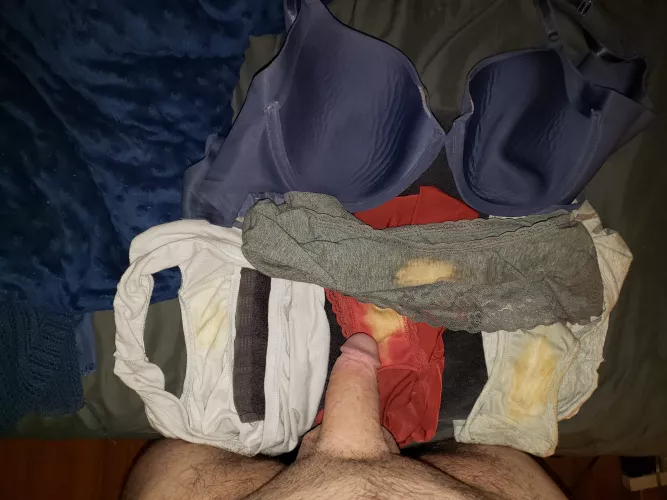 Wife's cummy panties and bra about to get my cock Wife's cummy panties and bra about to get my cock