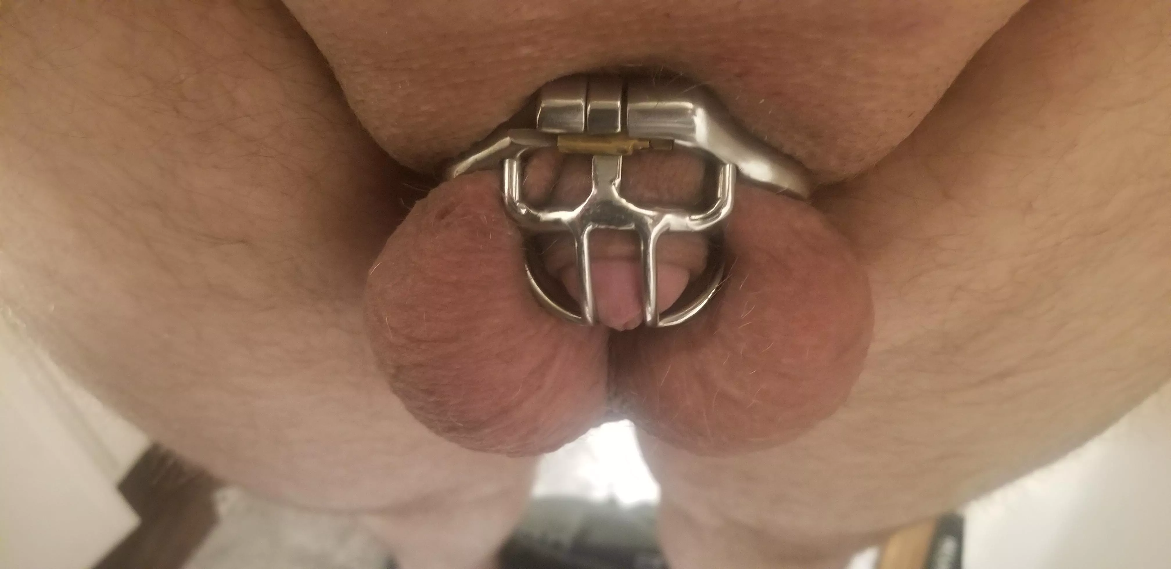 Wifes friends love how full I'm getting as much as the wife does