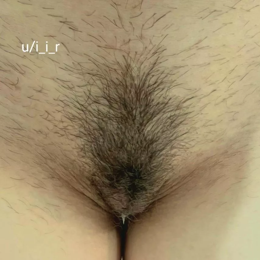 Wife's kitty Wife's kitty