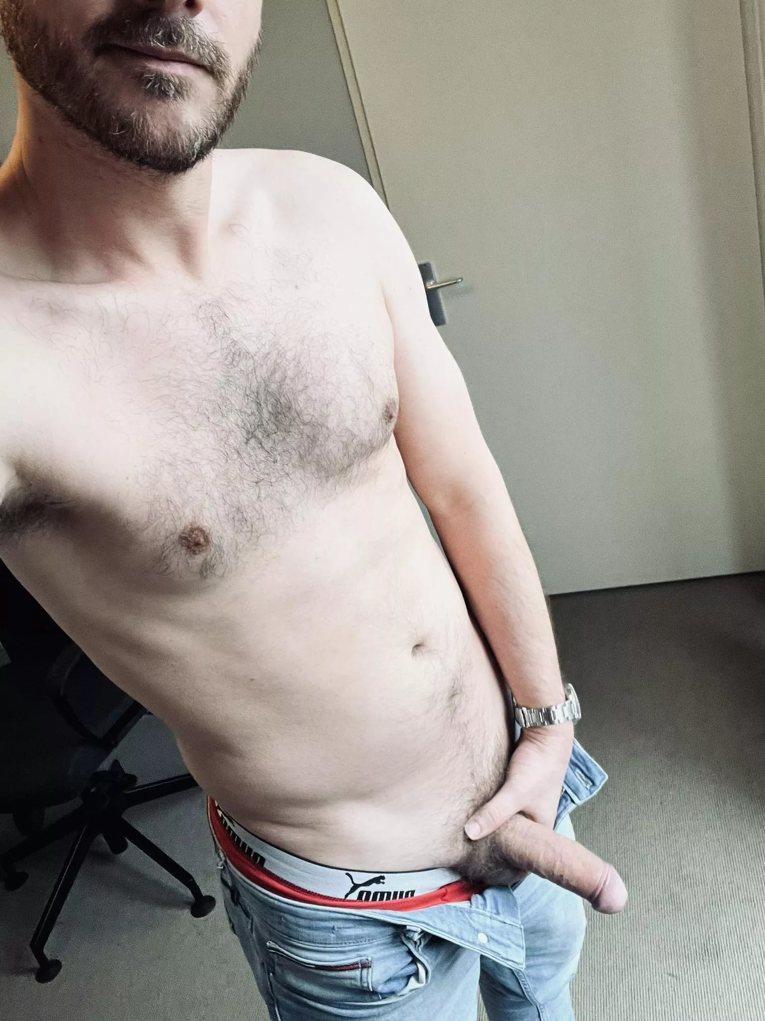 Wild at the home office [41]