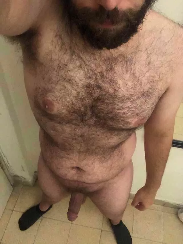 wild beard and hairy chest wild beard and hairy chest