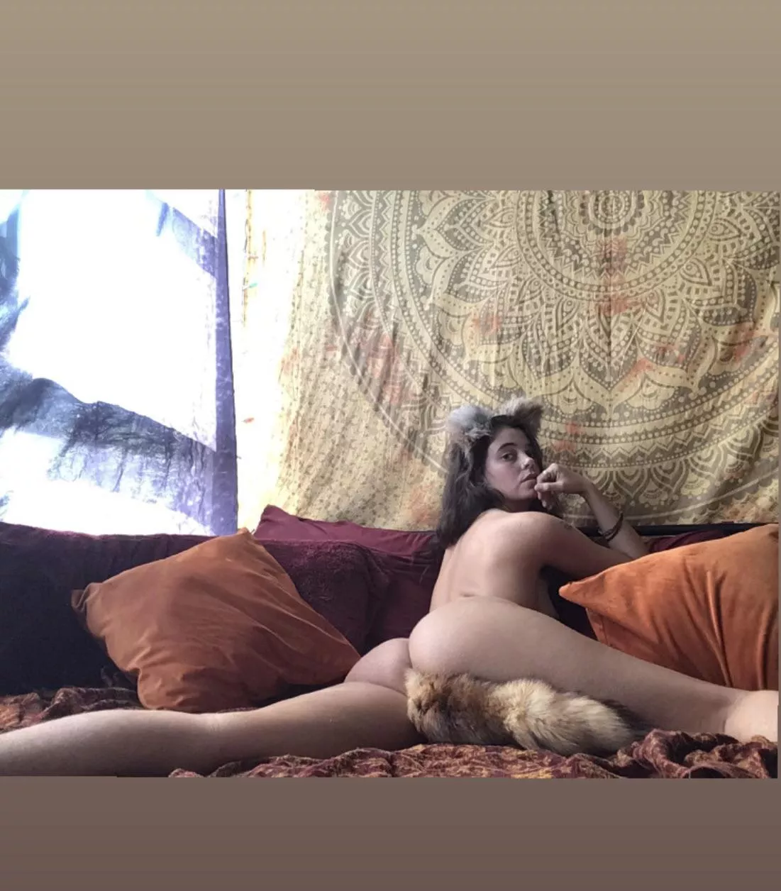 Wild fox 🦊 we’ll see if you succeed in taming me 😏