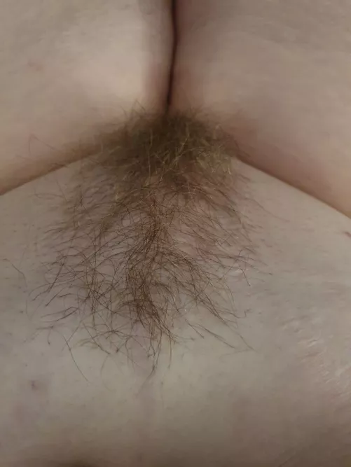 Wild or trimmed? Wild or trimmed?