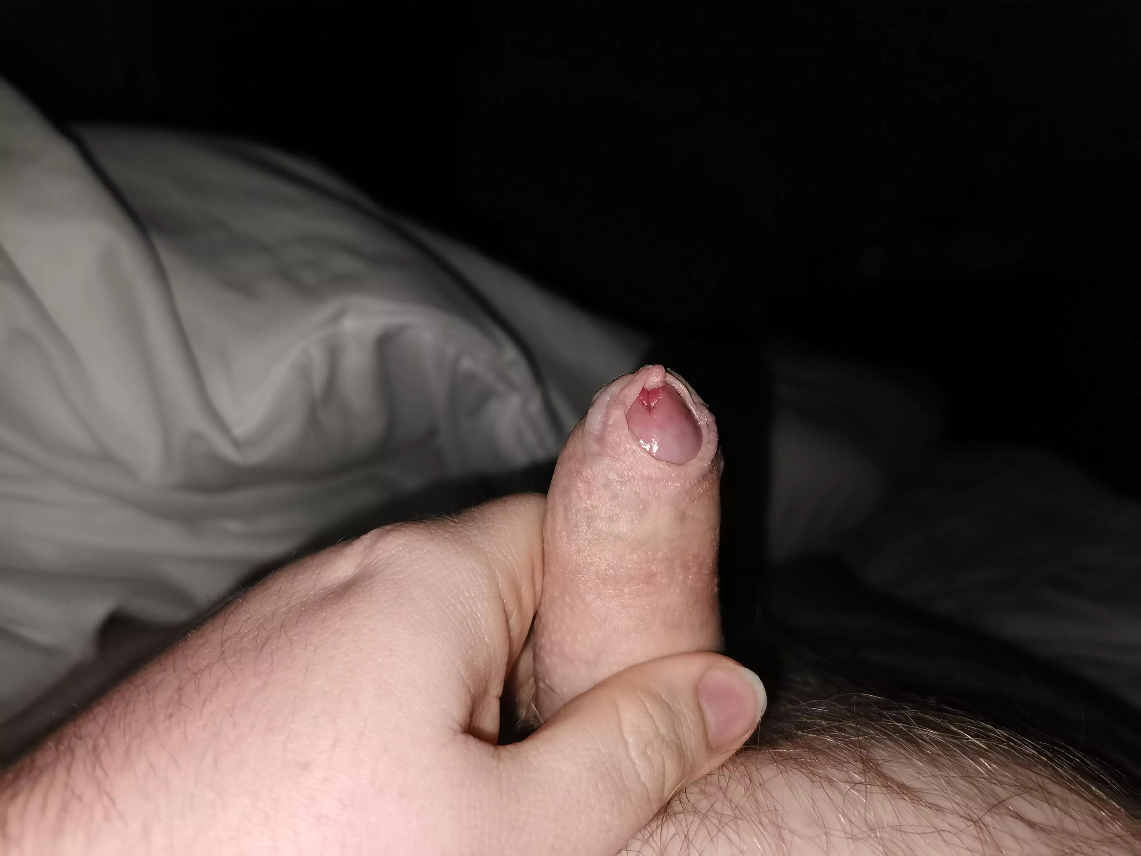 will someone just suck me off?!?! [33]