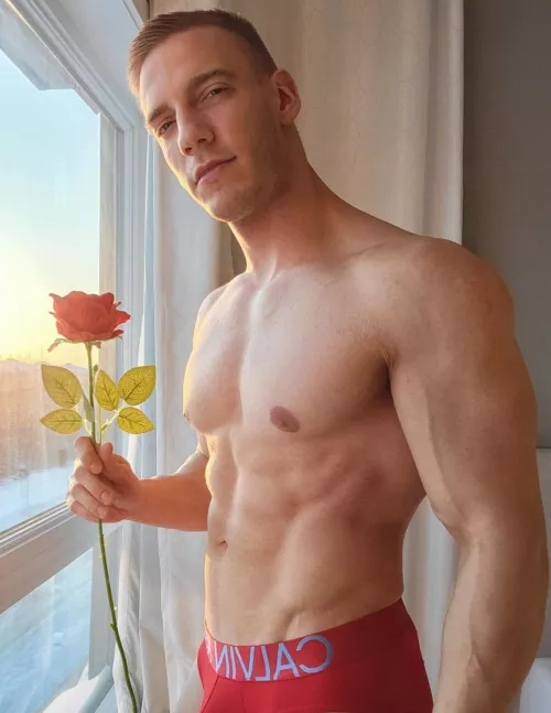Will you accept this rose ?πΉ Will you accept this rose ?πΉ