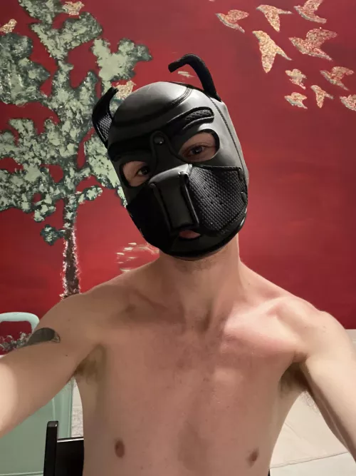 Will you give me a bone?😈🍆🍆