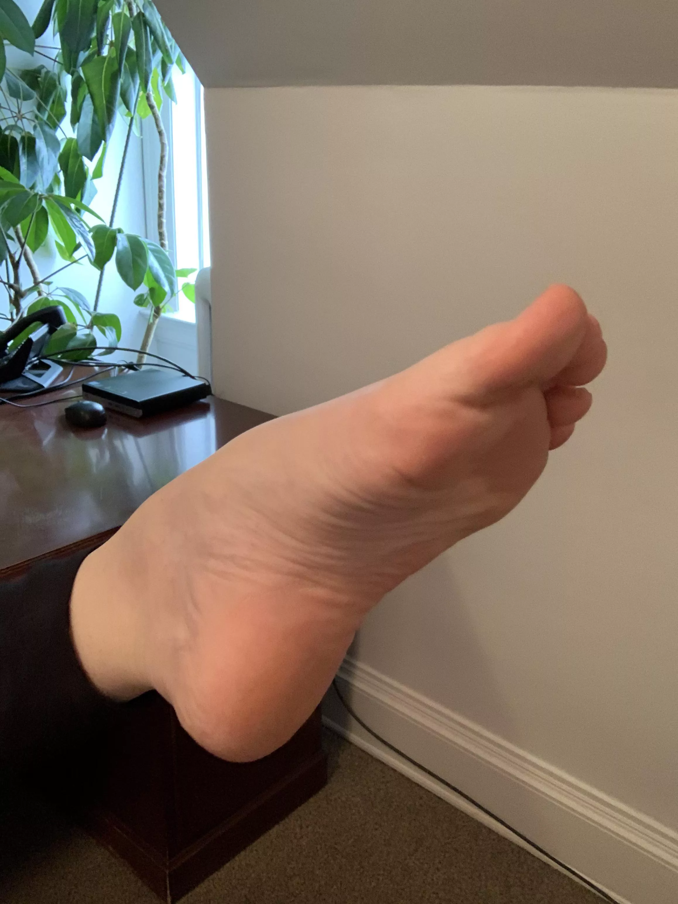 Will you lick my arch π Will you lick my arch π