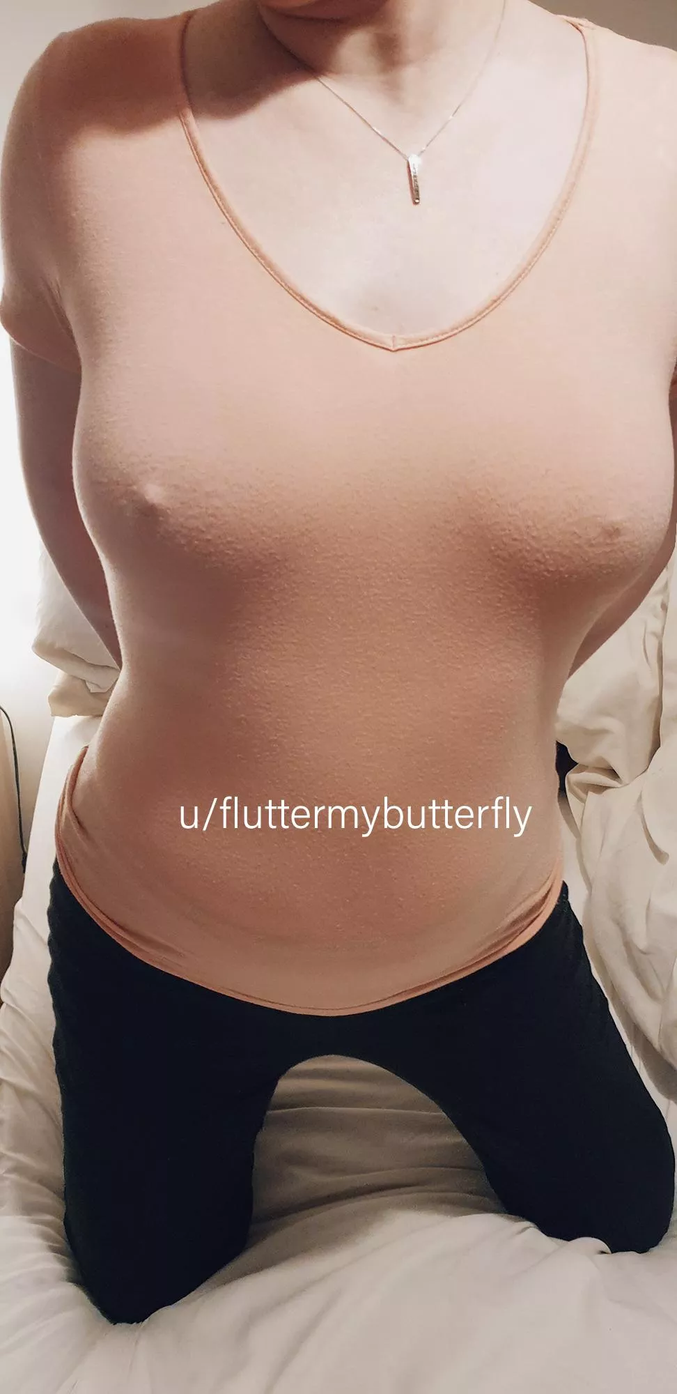 Winter wonderland Winter wonderland