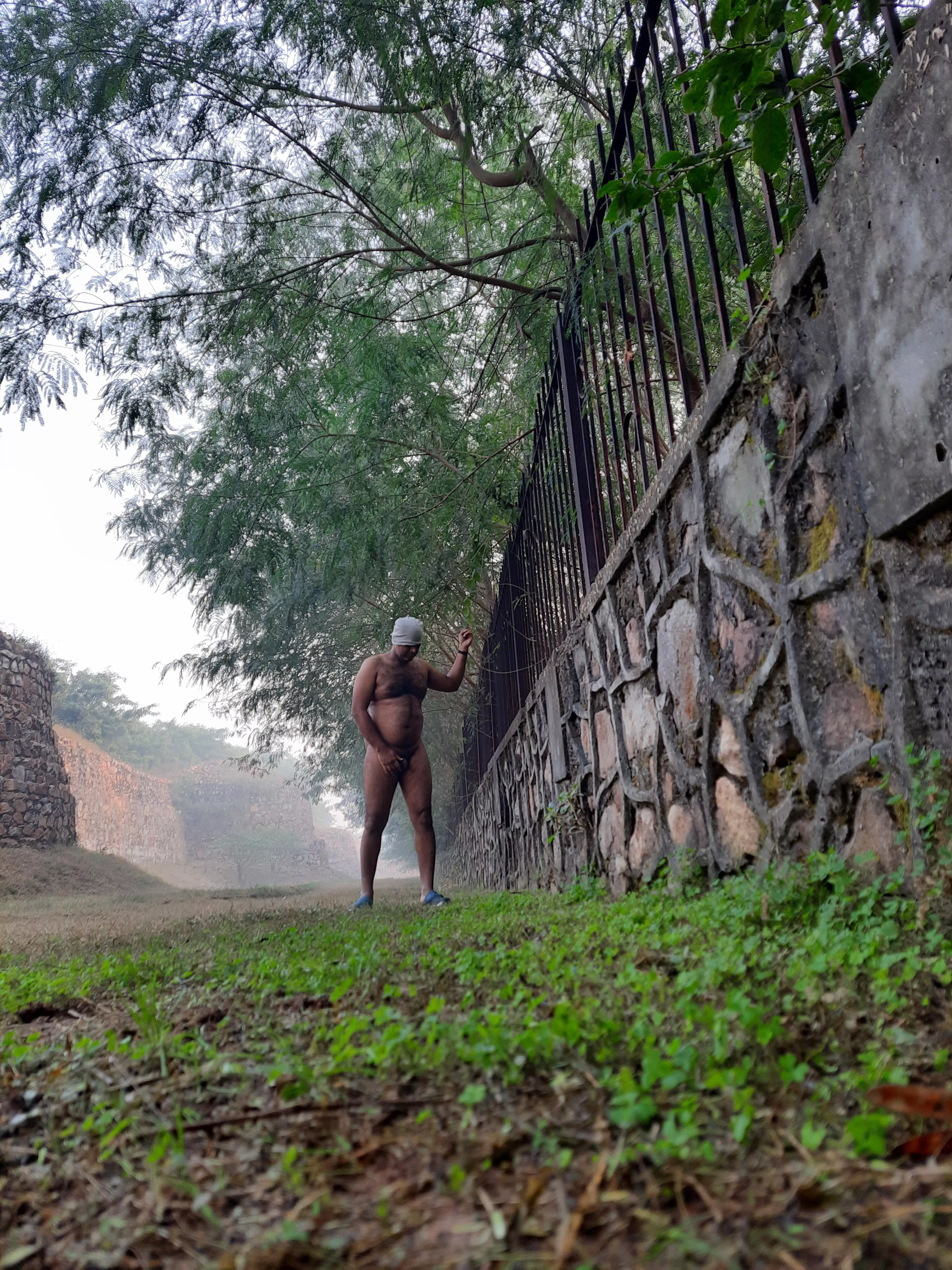 Wish I could climb the walls Wish I could climb the walls