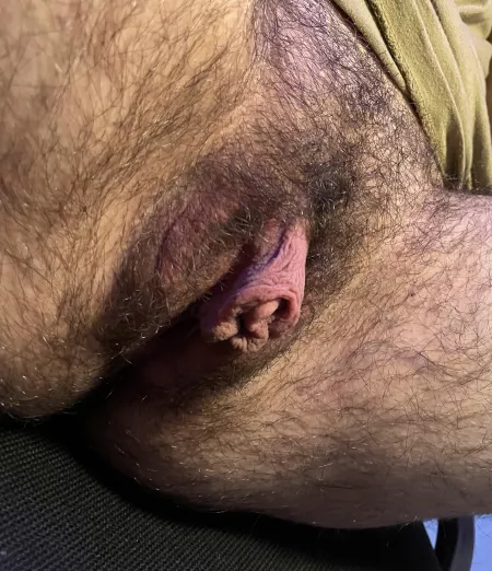 Wish i had a face to sit on Wish i had a face to sit on