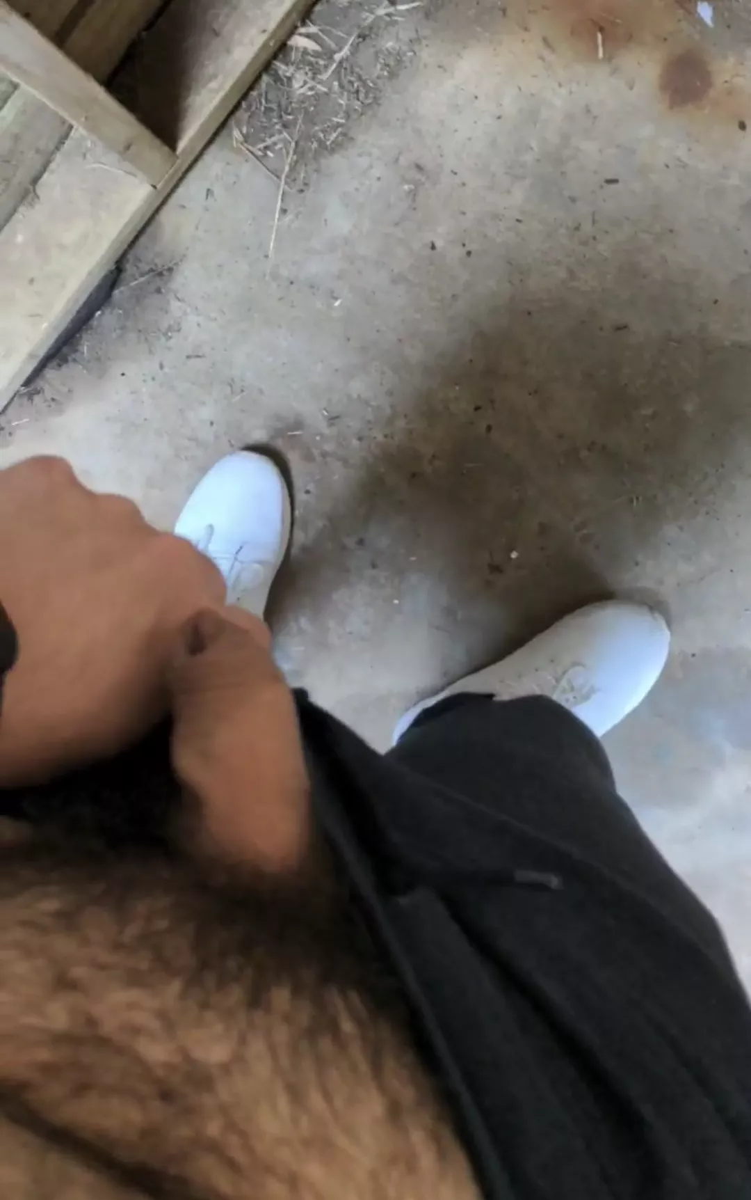 Wish I was locked up and humiliated Wish I was locked up and humiliated