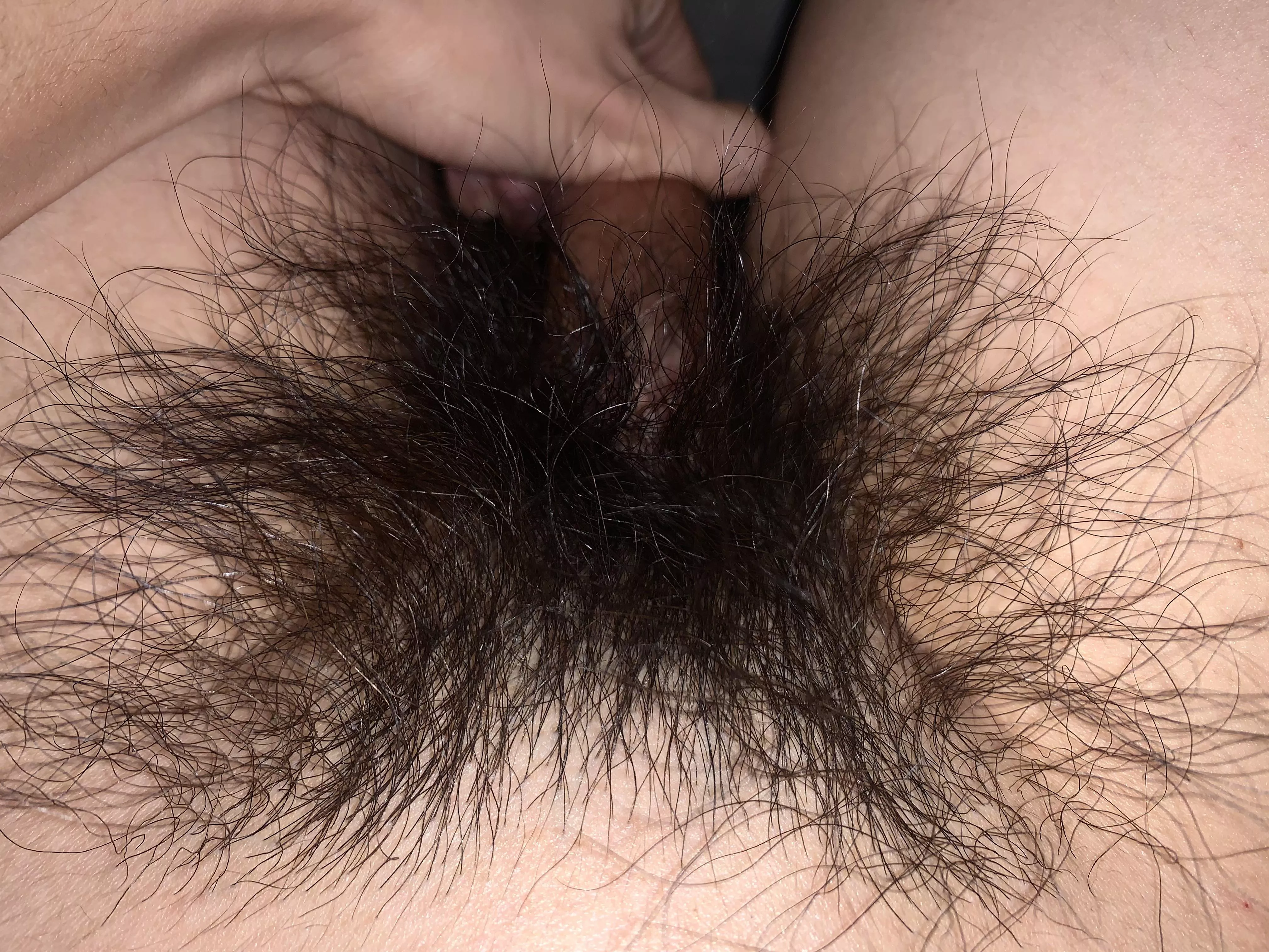 Wish someone could give my hairy thick bush some attention. Any takers?