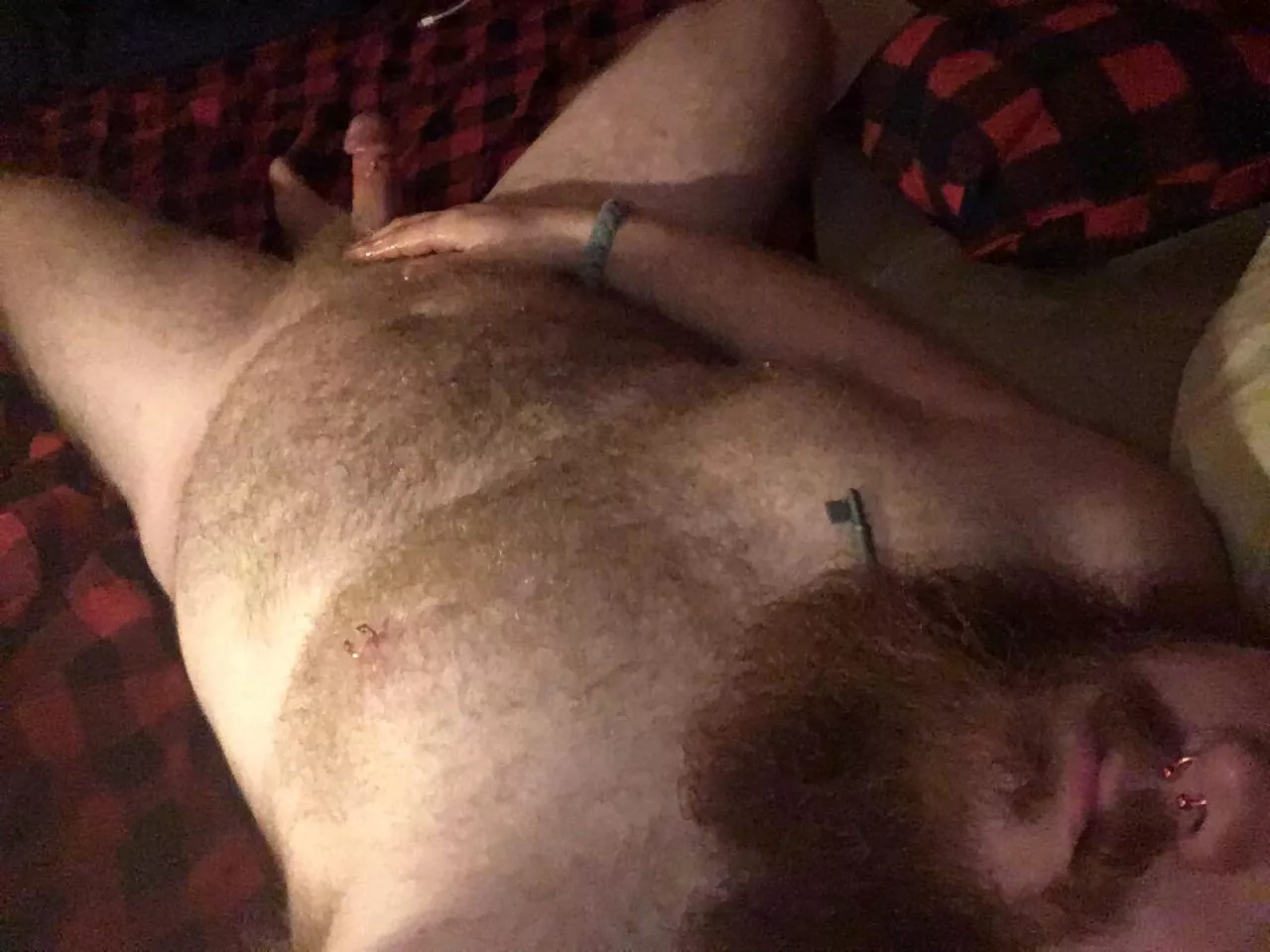 Wishing I had a furry cuddle buddy