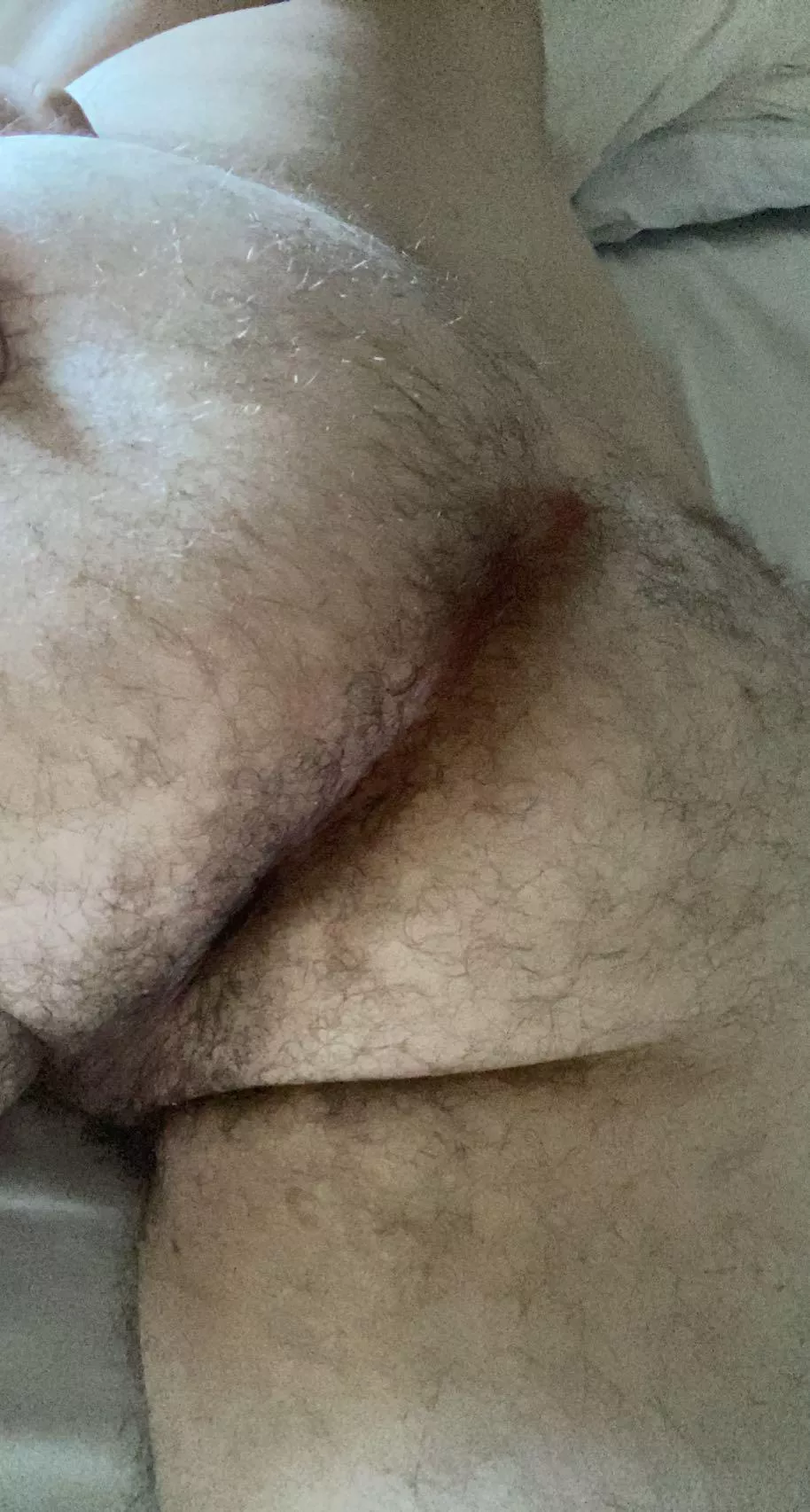 woke up horny as fuck, need a bear to open up this ass