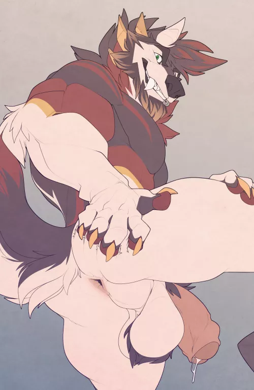 Wolf butthole (CervineCity) Wolf butthole (CervineCity)