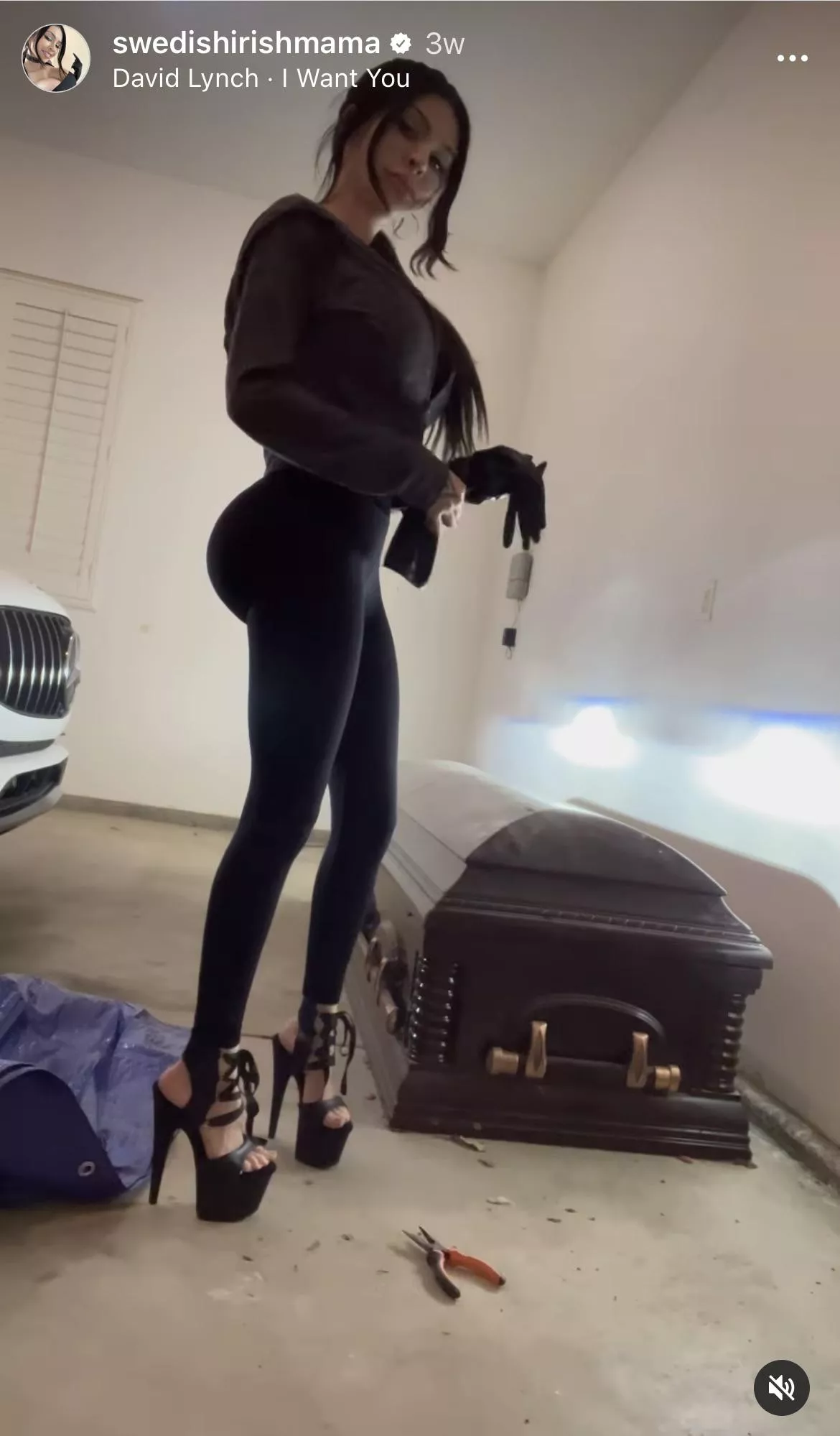 Wonderful curves, wonderful shoes! That is Trophywife material.