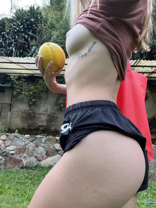 Wondering if you’d like to go fruit picking with me Wondering if you’d like to go fruit picking with me