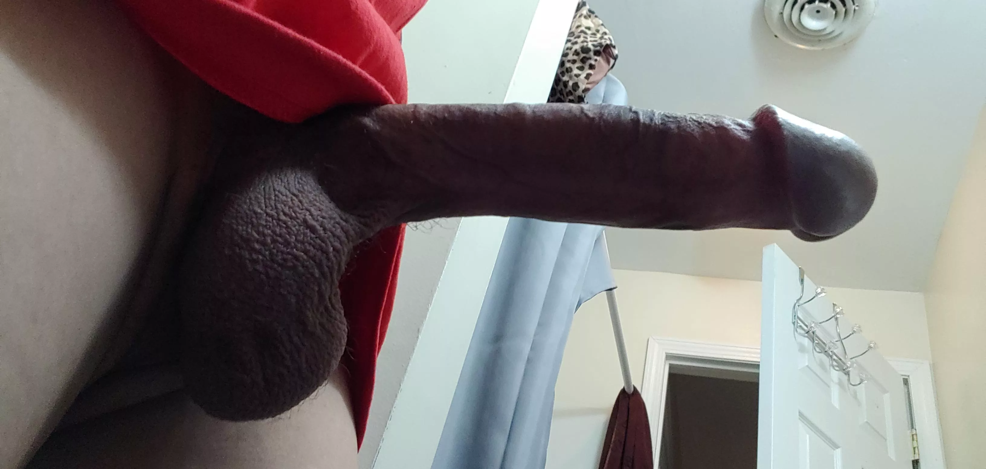 wood morning wood morning