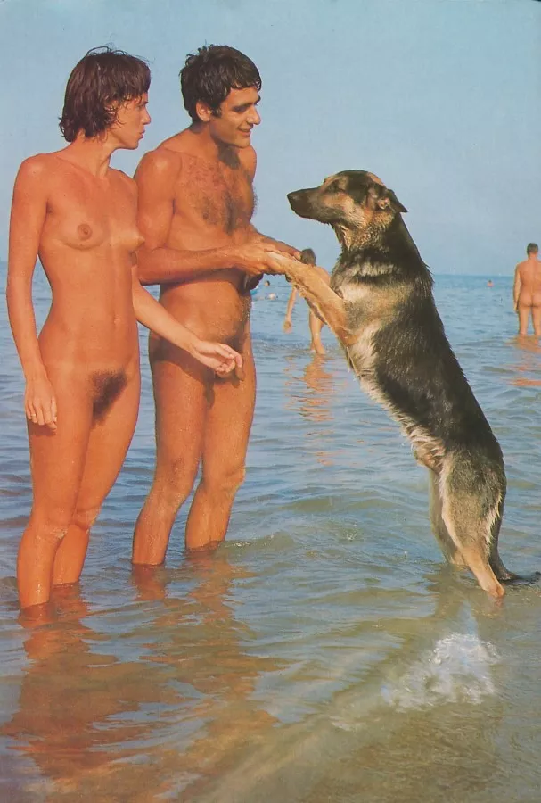 Woof Woof