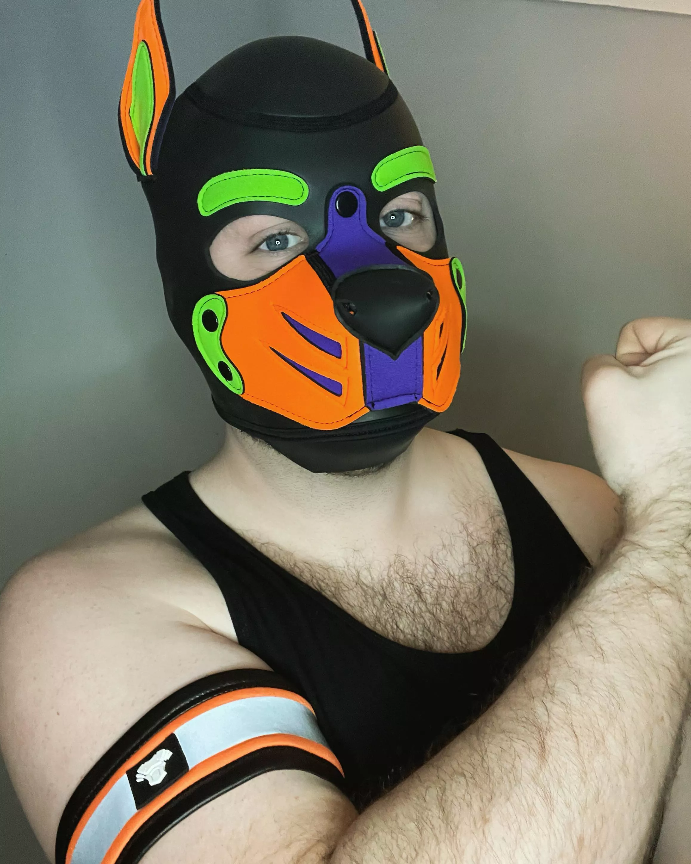 Woof Happy Valentine’s Day Pups 💜