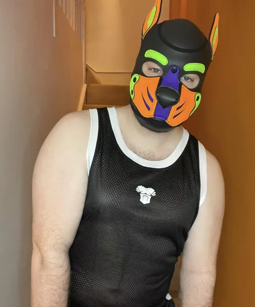 Woof 🐾 Hello… Missed Me? 💜🧡💚