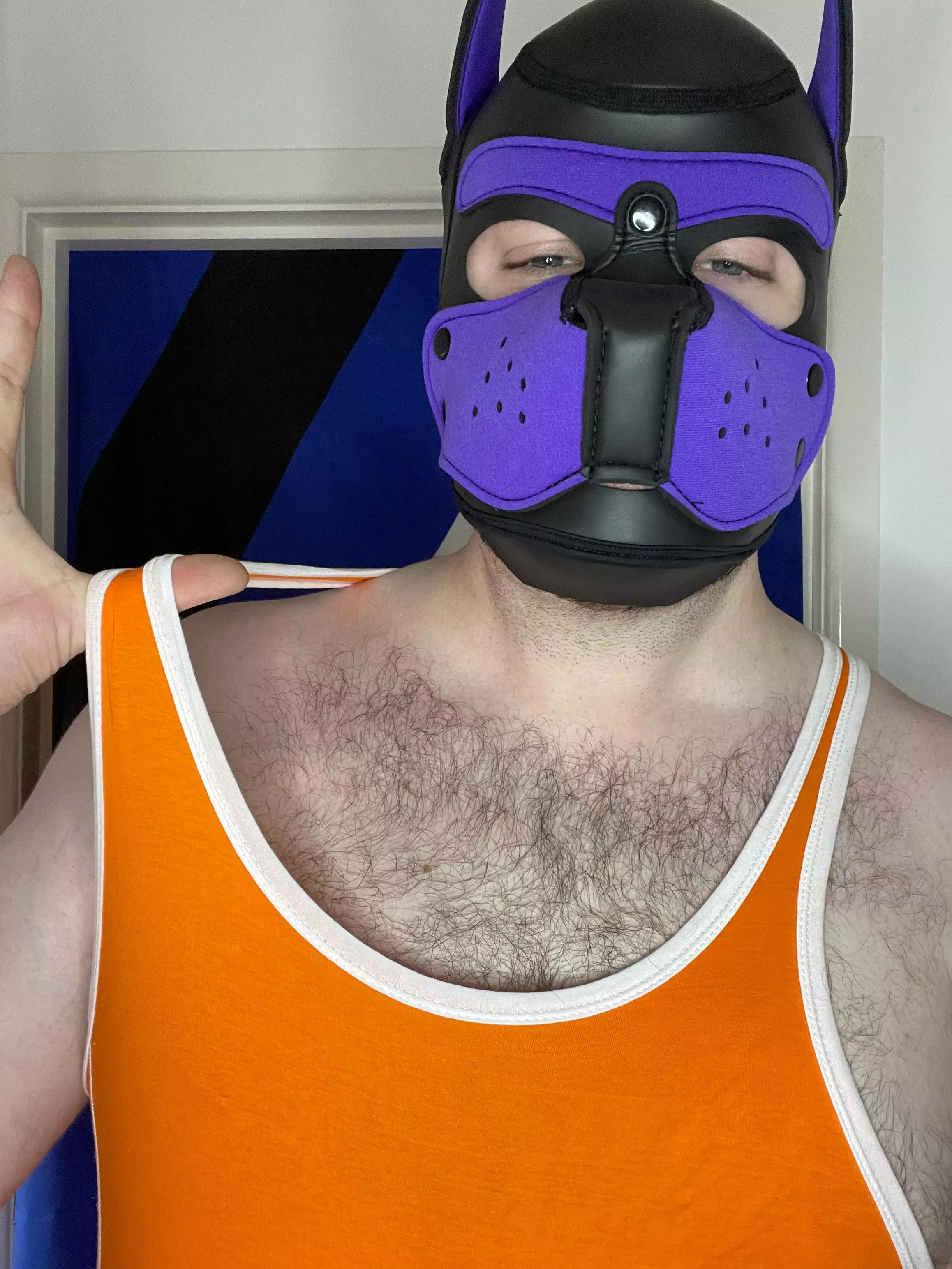 Woof! Who wants to be pinned down? Follow my insta page: @pup.spencer