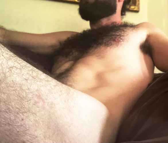 Woof Woof