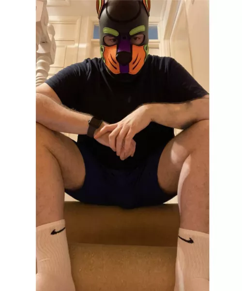 Woof woof. Get down there