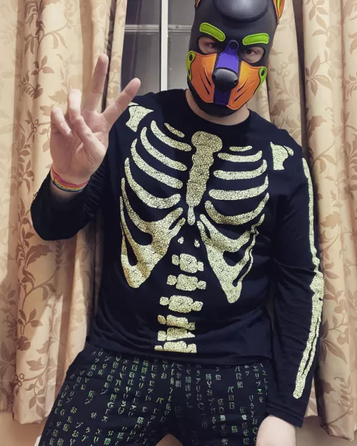 Woof woof Happy Saturday to you all - follow me on insta: @pup.Spencer