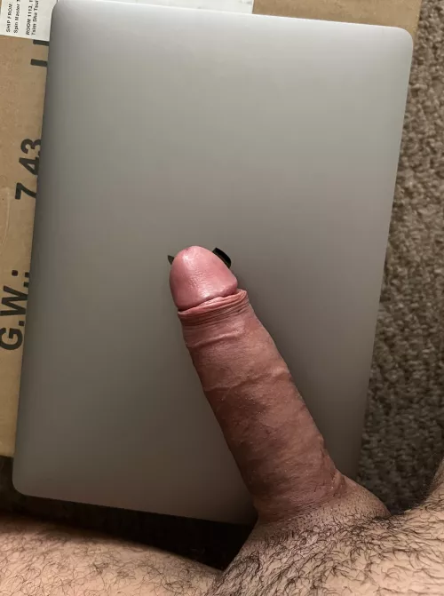 Work from home laptop and penis