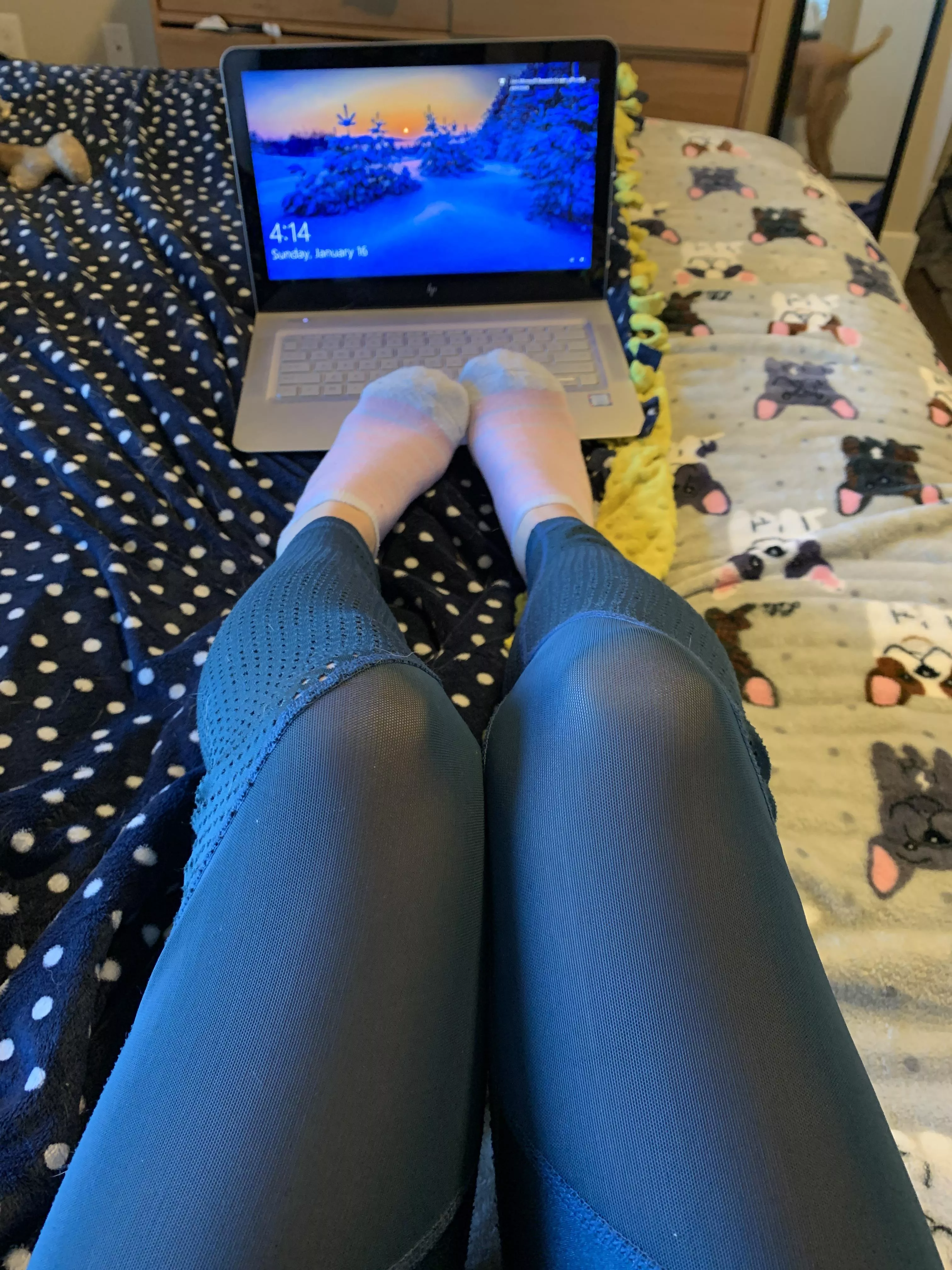 Working from home can be so distracting with socks like these