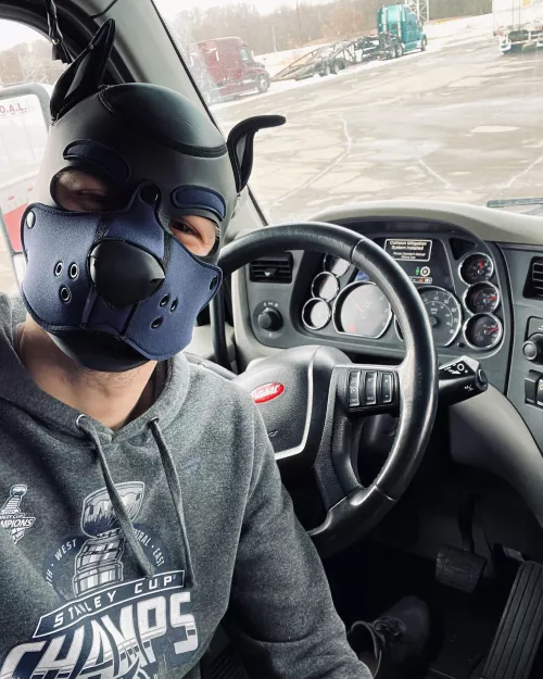 Workings pupper 🚛 beep beep 🐾