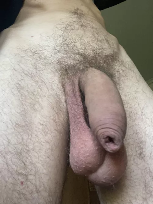worship my alpha softie ๐