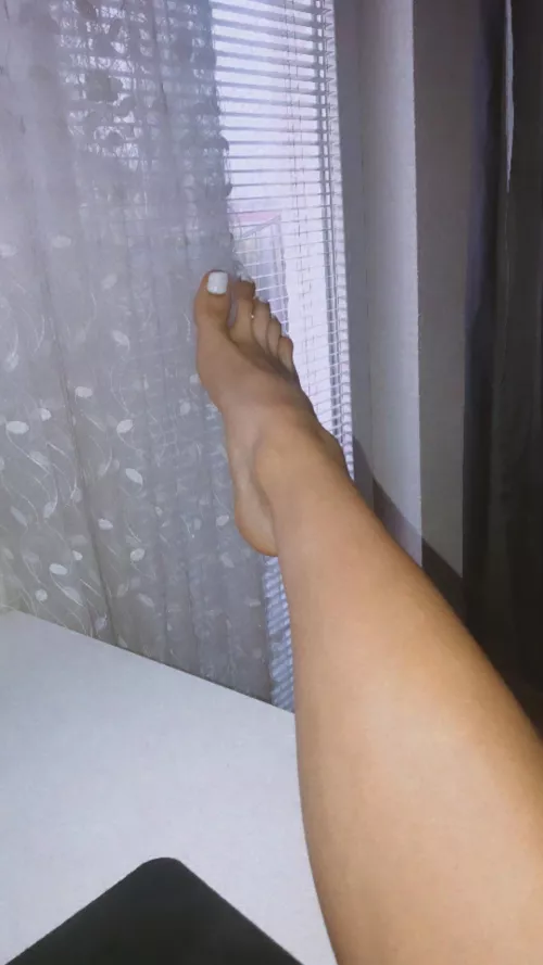 Worship my feet Worship my feet