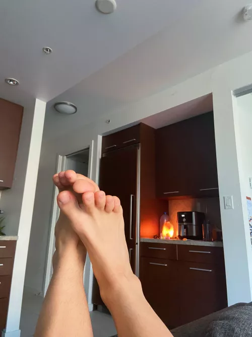 Worship my feet while I study Worship my feet while I study