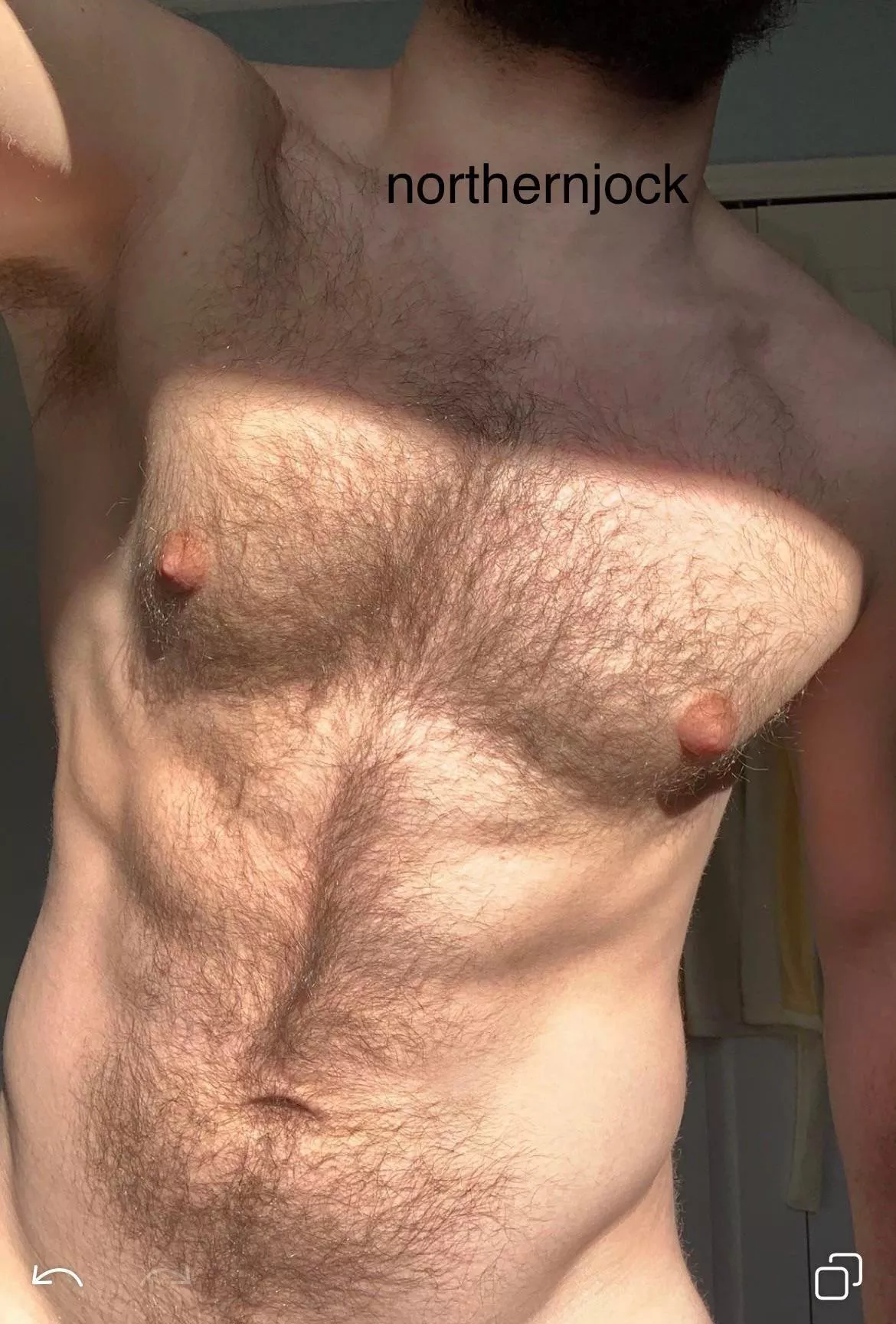 Worship my furry pecs and abs, beta