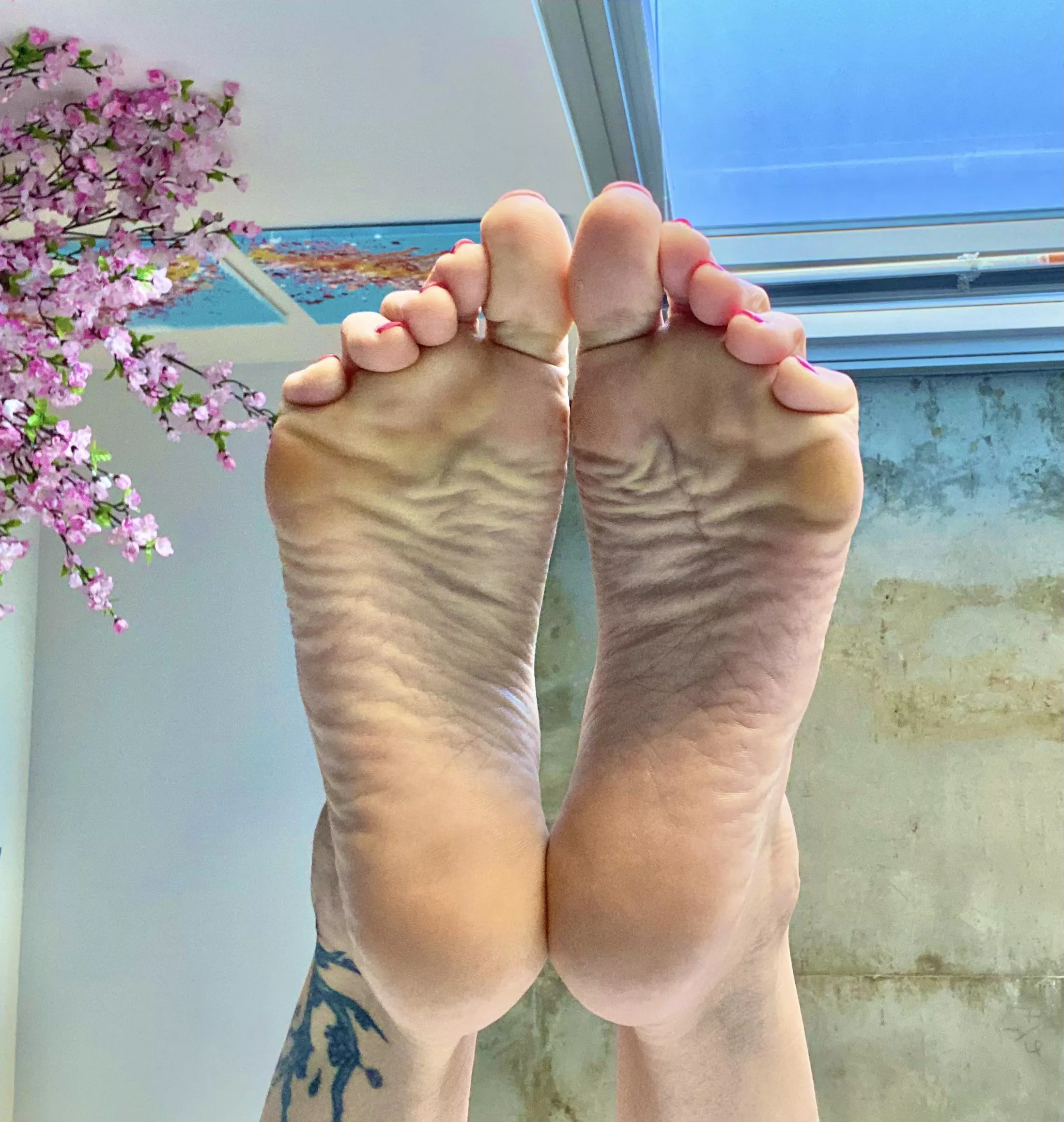 Worship my wrinkly soles 👅 lick every wrinkle 1 by 1 like a good boy
