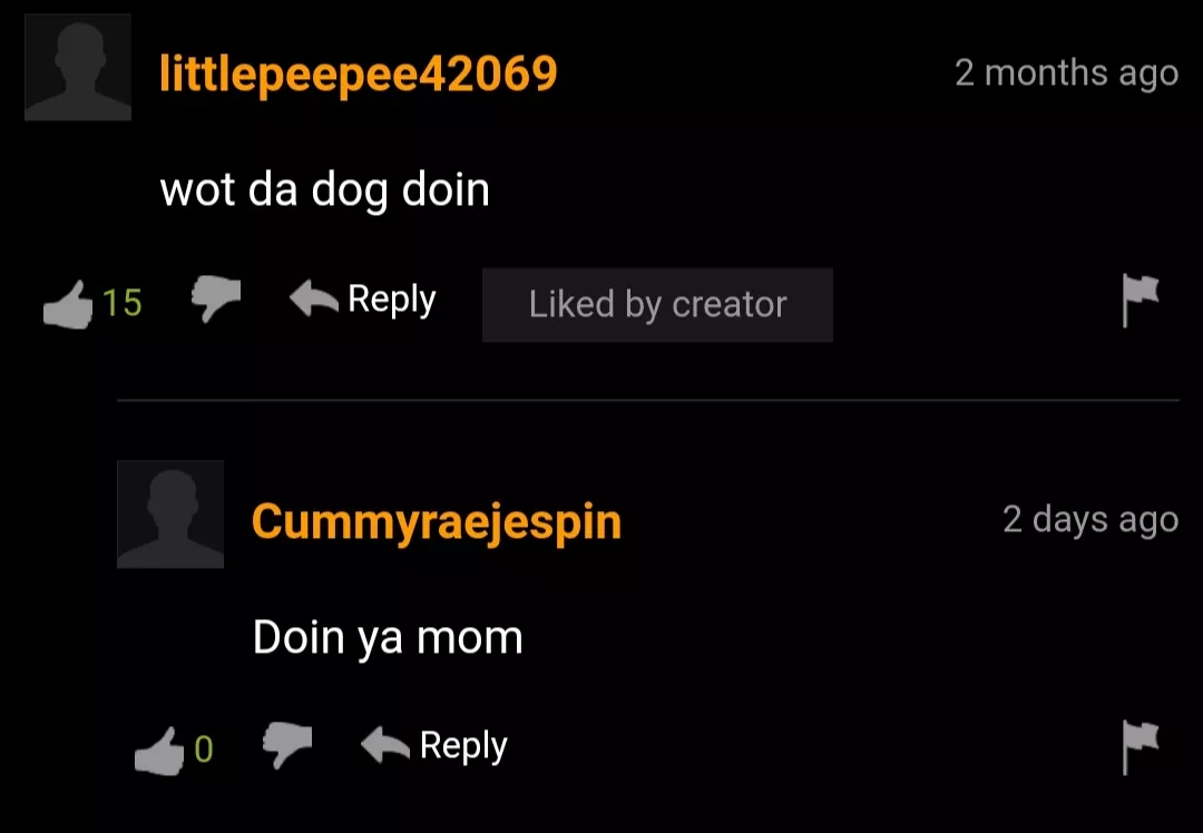 Wot da dog din Wot da dog din