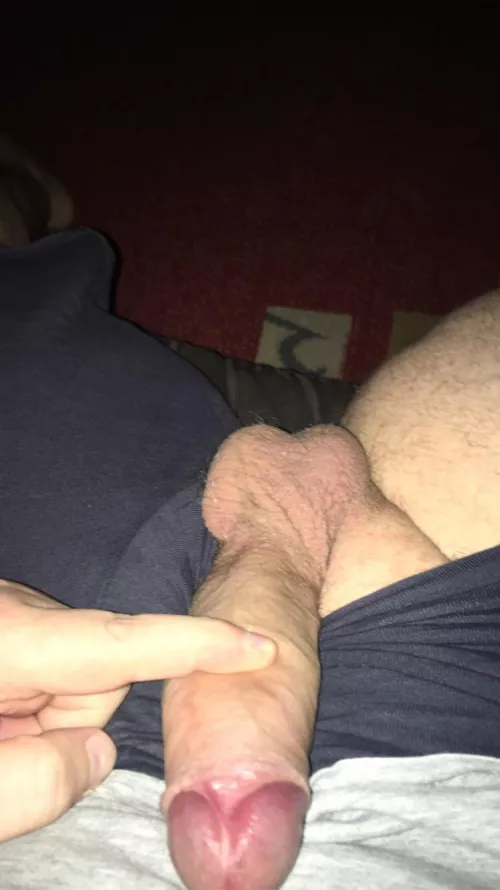 Would anyone suck my cock?