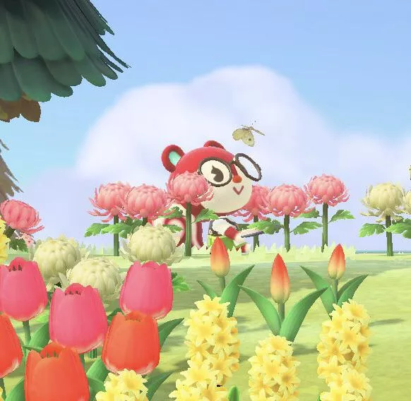 Would anyone wanna be animal crossing post card pen pals? 🥺