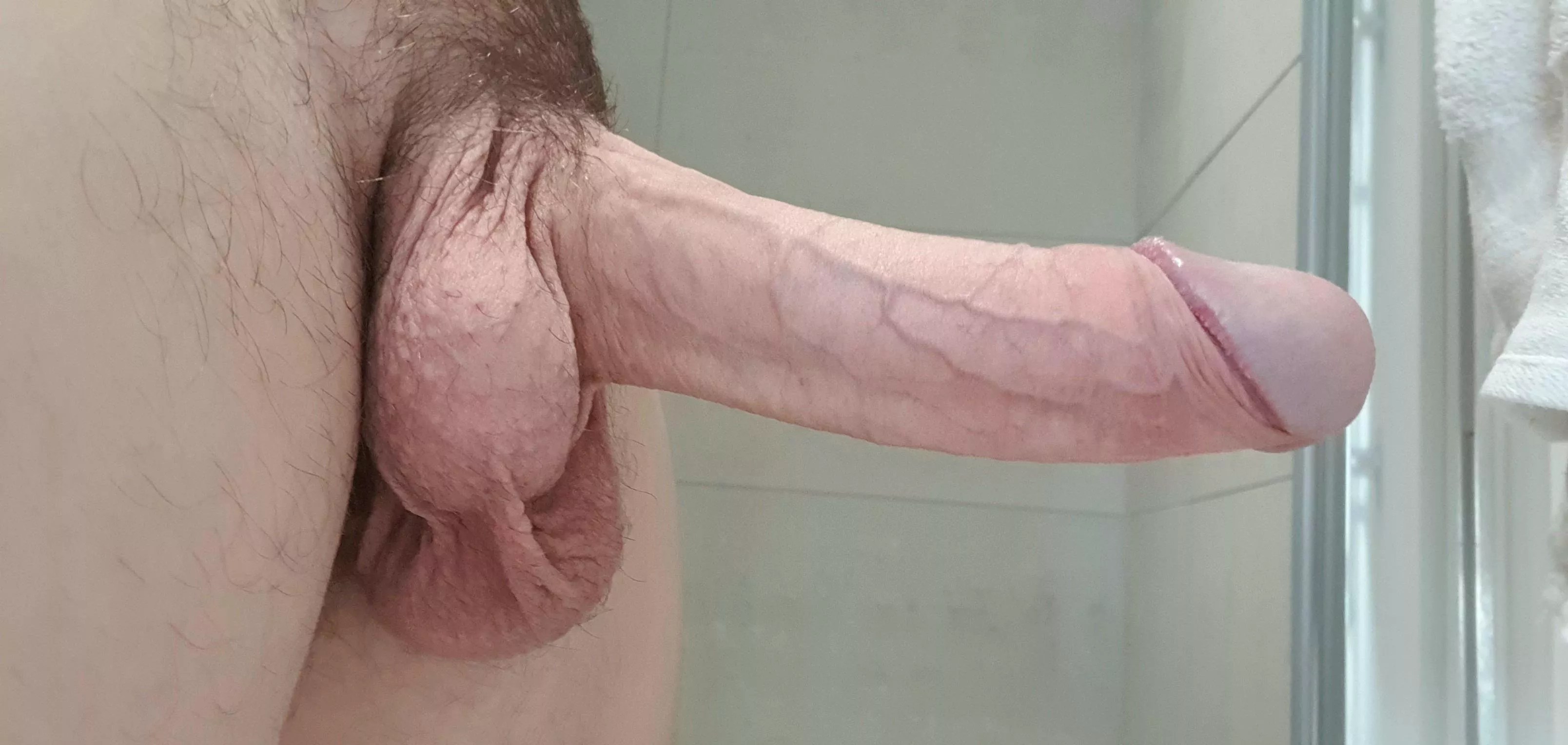 Would I stretch you? Would I stretch you?