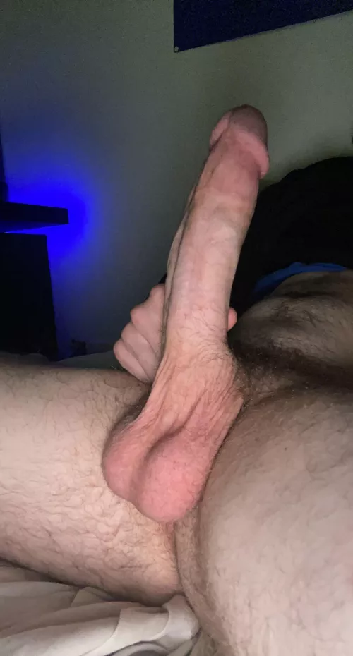 would you be my paypig?