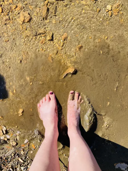 Would you clean them off for me? Would you clean them off for me?