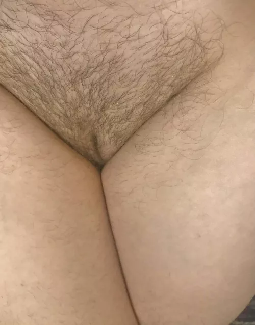 Would you cum on my hairy pussy? Would you cum on my hairy pussy?
