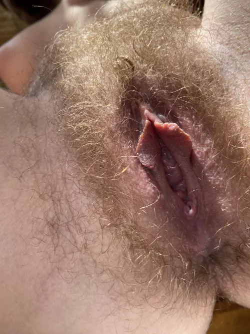 would you eat my ginger pussy? would you eat my ginger pussy?