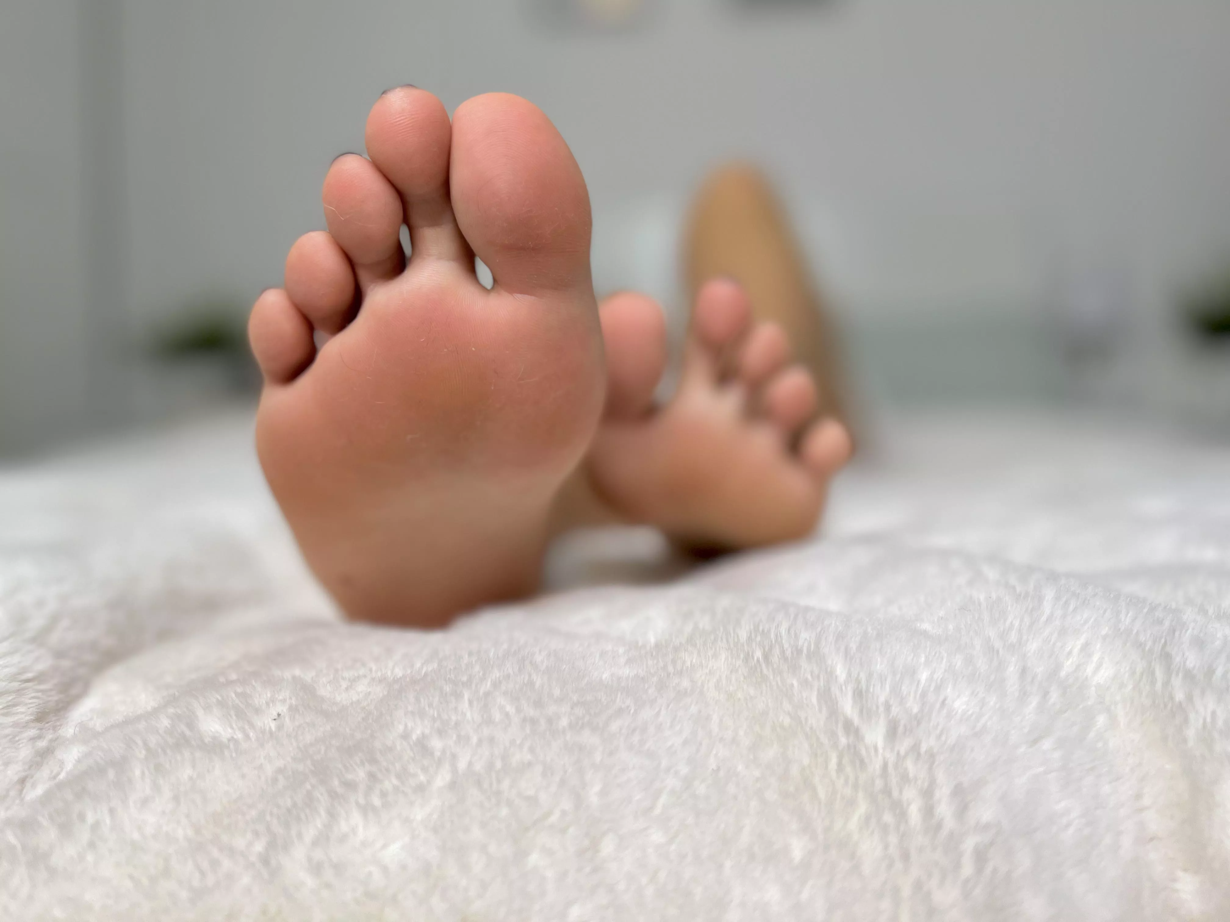 Would you enjoy my feet in your face? Would you enjoy my feet in your face?